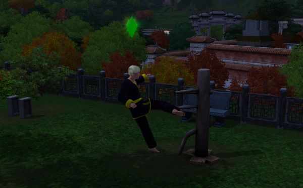 Where to learn martial arts skill in sims 3